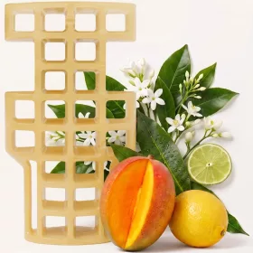 G-Vent illatkehely Citrus-mangó 30 napos