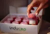 Inducap 60 fürdőszobai tisztítószer 22ml (ultrakoncentrátum)